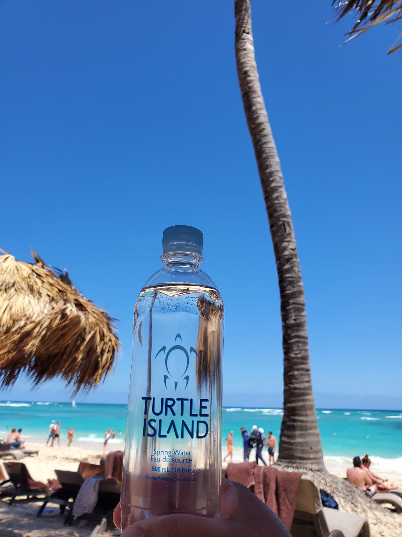 Turtle Island Aqua bottle at beach